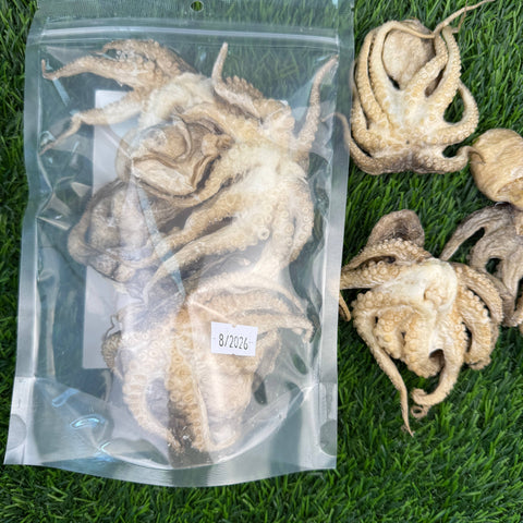 Golden Nibbles - Baby Octopus - Bag of 5 - Freeze Dried Treats for Dogs & Cat