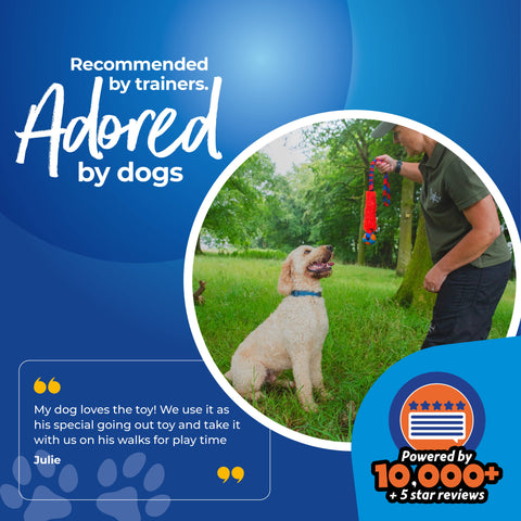 Tug-E-Nuff - Fauxtastic PowerBall Bungee | Strong Dog Toys | Tug-E-Nuff