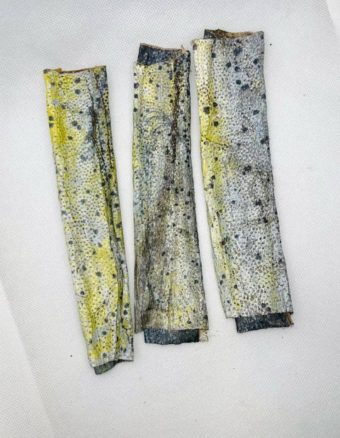 Florida Man Pet Treats - Dehydrated Mahi Mahi Dog Chew