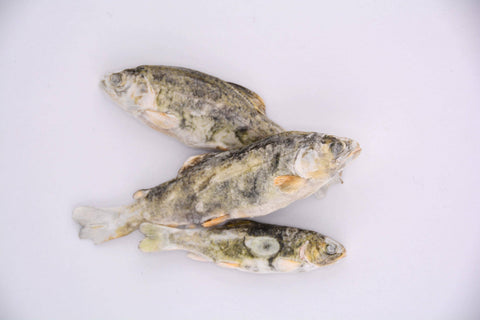 Happy Trout Pet Treats - Little Trout