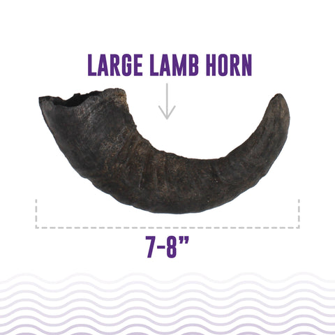 Medium chew - Lamb Horn Dog Treat