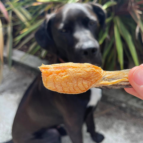 Gourmate Pet Treat Co. - Gourmate Alpine Freshwater Salmon Fin | 100% Salmon Treat