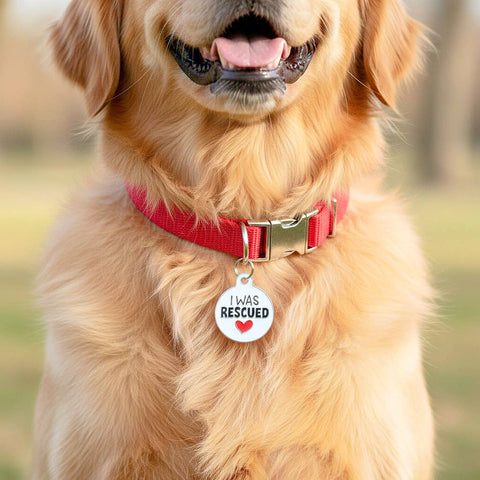 Bad Tags - Enamel Dog ID Tag w/ Personalized QR Code - I Was Rescued