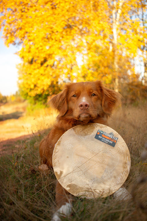 Dogginstix - Beef Collagen UFO - Frisbee Disc