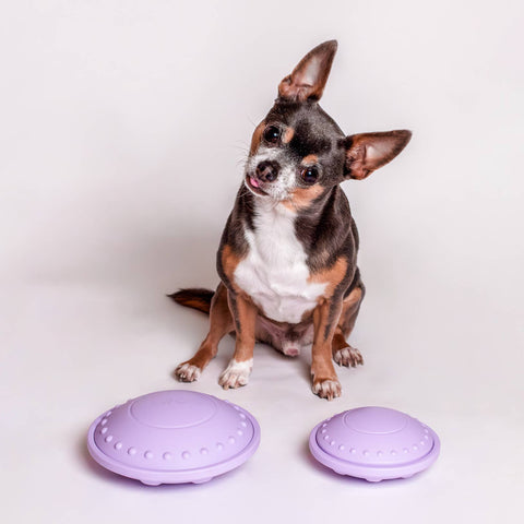 Awoo - Flying Saucer Silicone Puzzle Toy