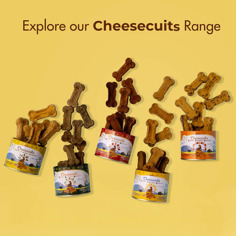 Pawfect Pet Foods Pvt Ltd - USA - Pawfect Cheesecuits | Cheese biscuits for dogs with 75% Cheese & 25% Pineapple, Coconut & Eggs | All-natural training treats | High protein reward treats | Grain-free| Hypoallergenic| (100g/3.53oz)