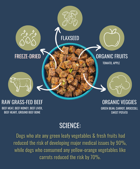 Camping With Dogs and AlphaPak - ALPHAPAK RAW FREEZE DRIED DOG FOOD BEEF 16 OZ