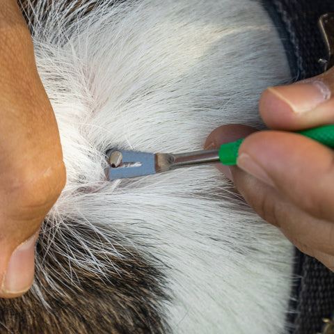 TickCheck - TickCheck Premium Tick Remover Kit