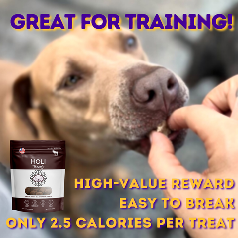 HOLI - Free Range Elk & Venison Freeze Dried Dog Treats