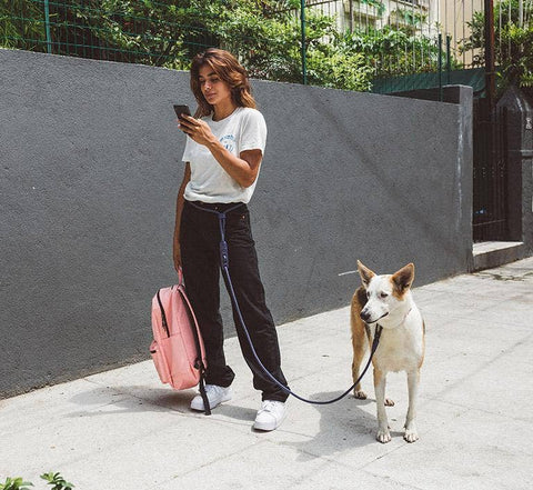 Zee.Dog - Deep Blue | Hands-Free Leash