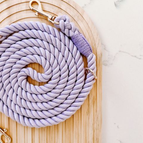 Barks and Brownies - Hands-Free Leash Lavender
