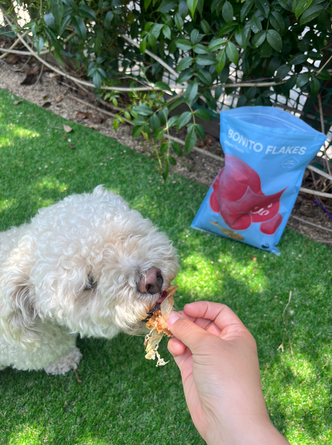 Bonito House - Umami Treats: Bonito Flakes for Cats and Dogs