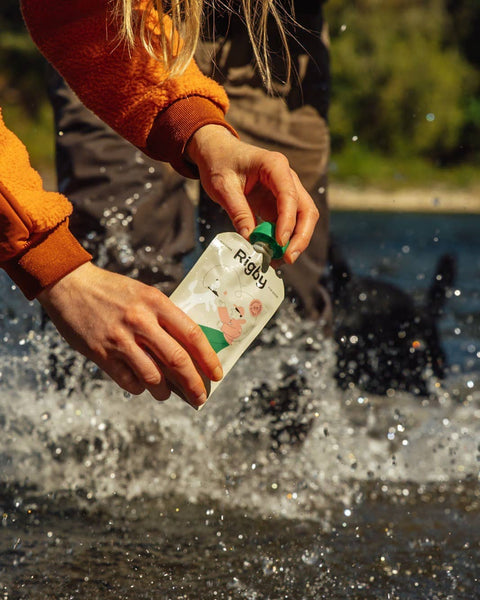 Rigby - Organic Salmon Squeeze Pouch for Dogs - 6 Pack