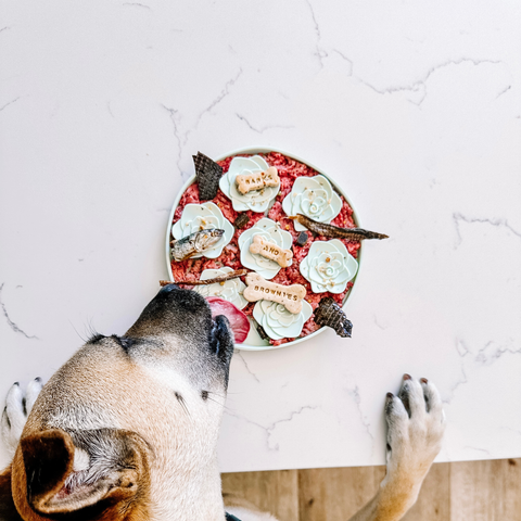 Barks and Brownies - Tea Snuffle Mat