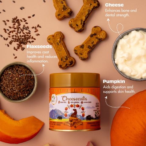 Pawfect Pet Foods Pvt Ltd - USA - Pawfect Cheesecuits | Cheese biscuits for dogs with 80% Cheese & 20% Pumpkin, Flaxseeds & Eggs | All-natural high-protein dog treats | Grain-free, hypoallergenic & rich in antioxidants | (100g/3.53oz)