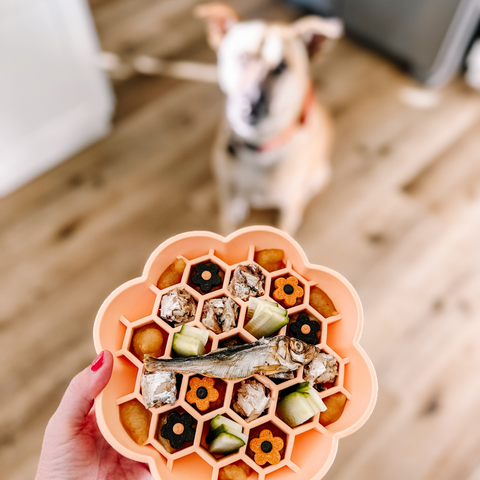 Barks and Brownies - Daisy Slow Feeder Peach