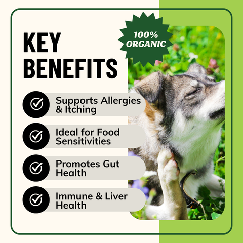 Fido’s - Allergy Herbal & Mushroom Powder