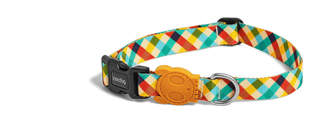 Zee.Dog - Phantom | Collar