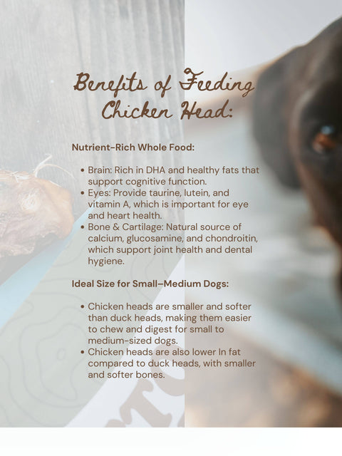 Litto Howler - Chicken Head | 6 Count