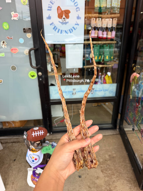 Light Chew: Beef Tail - All-Natural