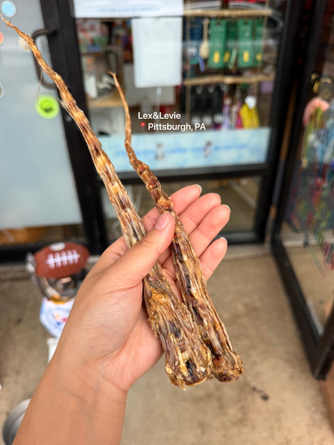 Light Chew: Beef Tail - All-Natural