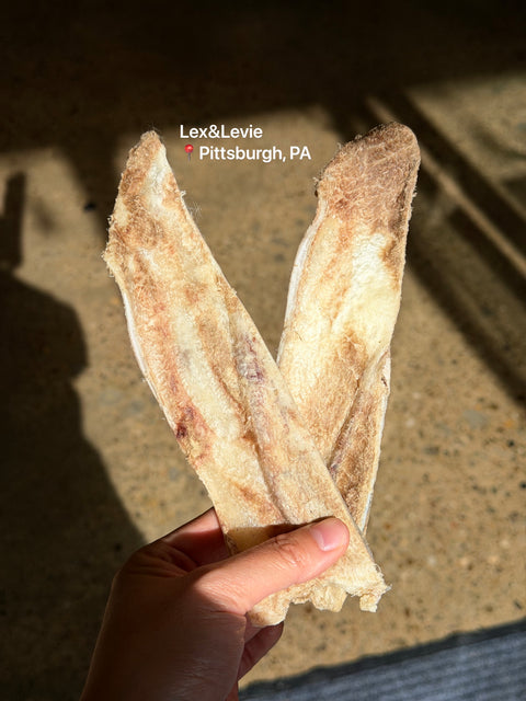 Medium chew - BISON Scapula Chews