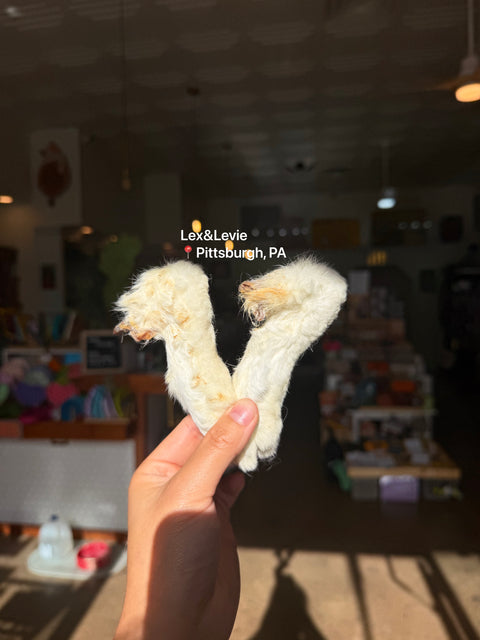 Light chew - Raw Rabbit Feet