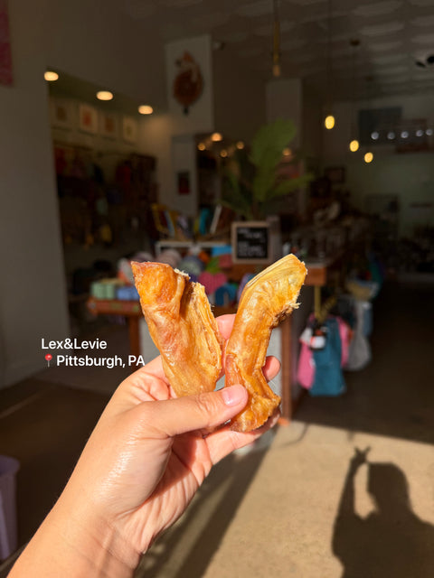 Medium chew - Bison Fillet Tendon