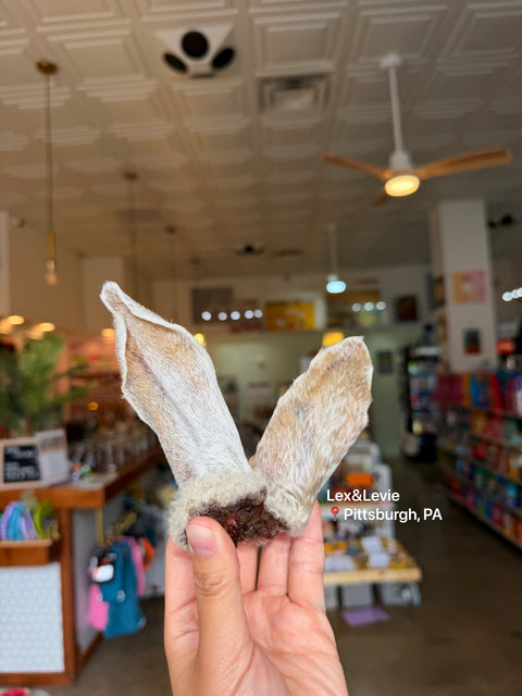 Light chew - Hairy Lamb Ears