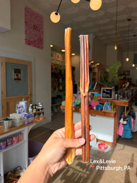 Medium chew - 12" Standard Bully Sticks