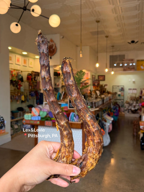 Medium chew - Goose neck