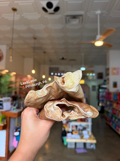 Light chew - Freeze-Dried Pig Ear