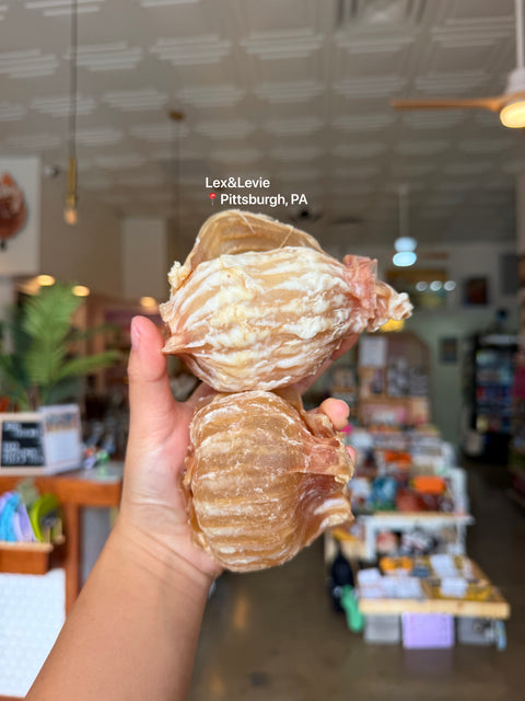 Medium chew - beef trachea ball