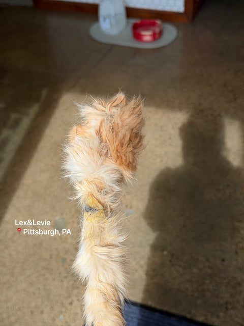 Medium chew - Rabbit Hide Twist