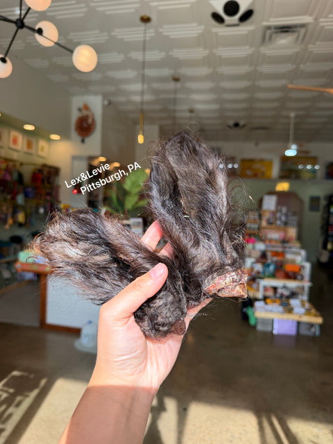 Medium chew - Hairy Bison Ears