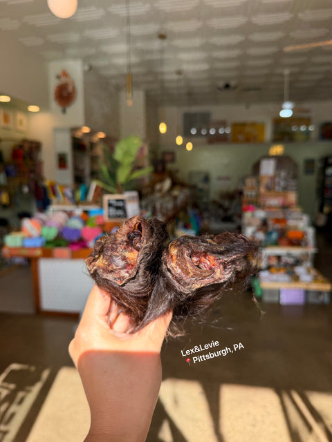 Medium chew - Hairy Bison Ears