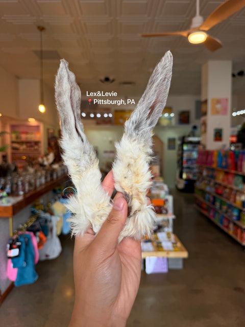 Light chew - Rabbit ear