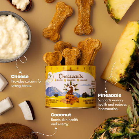 Pawfect Pet Foods Pvt Ltd - USA - Pawfect Cheesecuits | Cheese biscuits for dogs with 75% Cheese & 25% Pineapple, Coconut & Eggs | All-natural training treats | High protein reward treats | Grain-free| Hypoallergenic| (100g/3.53oz)