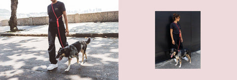 Zee.Dog - Neon Coral | Hands-Free Leash