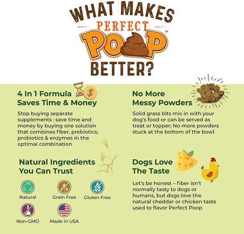 LickiMat / Klearwater Distribution - BERNIE'S PERFECT POOP Digestion & General Health Supplement