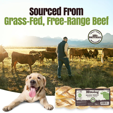 Palz&Co - Moodog Beef Braided Tendon 8", 2 Pack