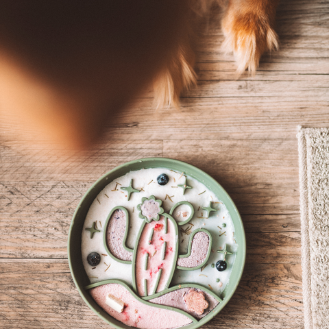 Barks and Brownies - Cactus Slow Feeder Grass