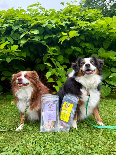 Golden Nibbles Lex&Levie Favs