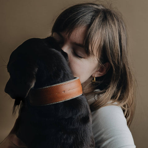 BAND&ROLL - Wool Padded Wide Dog Collar. Pine