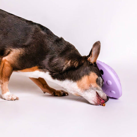 Awoo - Flying Saucer Silicone Puzzle Toy