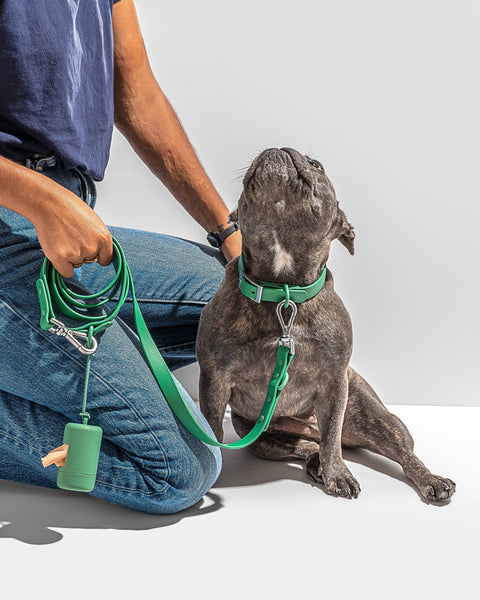 Wild One - Poop Bag Carrier
