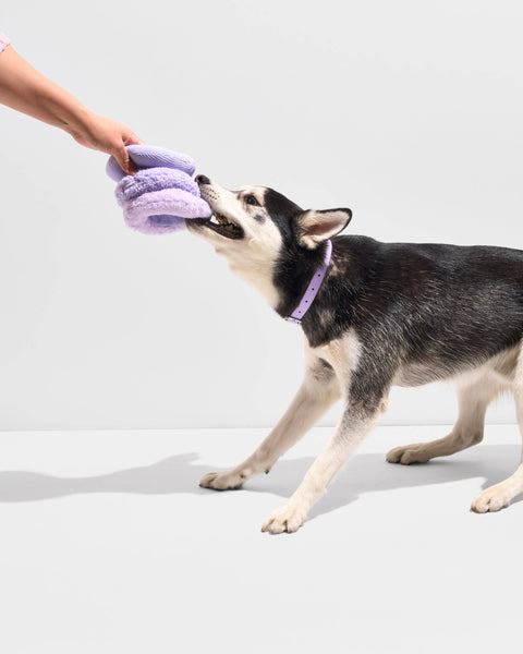 Wild One - Tennis Tuft