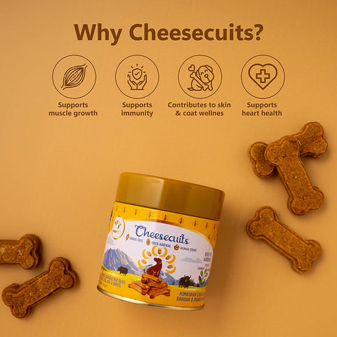 Pawfect Pet Foods Pvt Ltd - USA - Pawfect Cheesecuits | Cheese biscuits for dogs with 80% Cheese & 20% Banana, Peanut Butter & Eggs | All-natural training treats | High protein reward treats | Grain-free| Hypoallergenic| (100g/3.53oz)