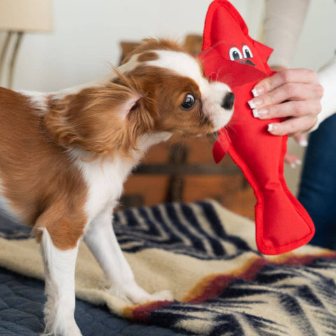 ADC Houndstone & Co. - Houndstone Lobster Dog Toy with Squeaker