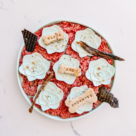 Barks and Brownies - Tea Snuffle Mat